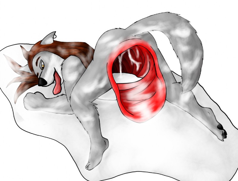 ARTIST The Roop page 11 full
