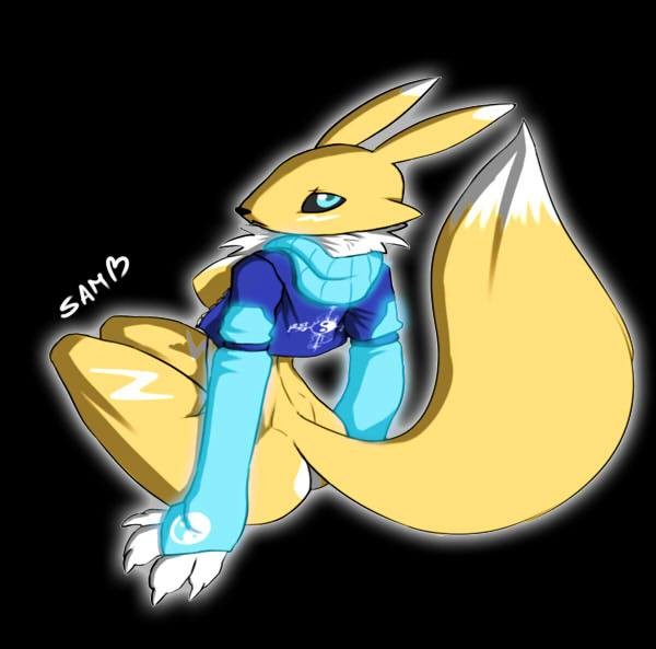 _thunder-renamon -intersex - e621 page 3 full