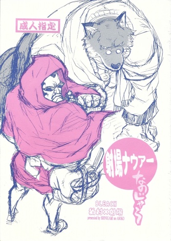 [GOO (Takagari Mitsuru & Tachikawa Akira)] Shajou Nauer no Ja ~ & Koishisa to setsunasa to shajou Nauer to (BLEACH) cover
