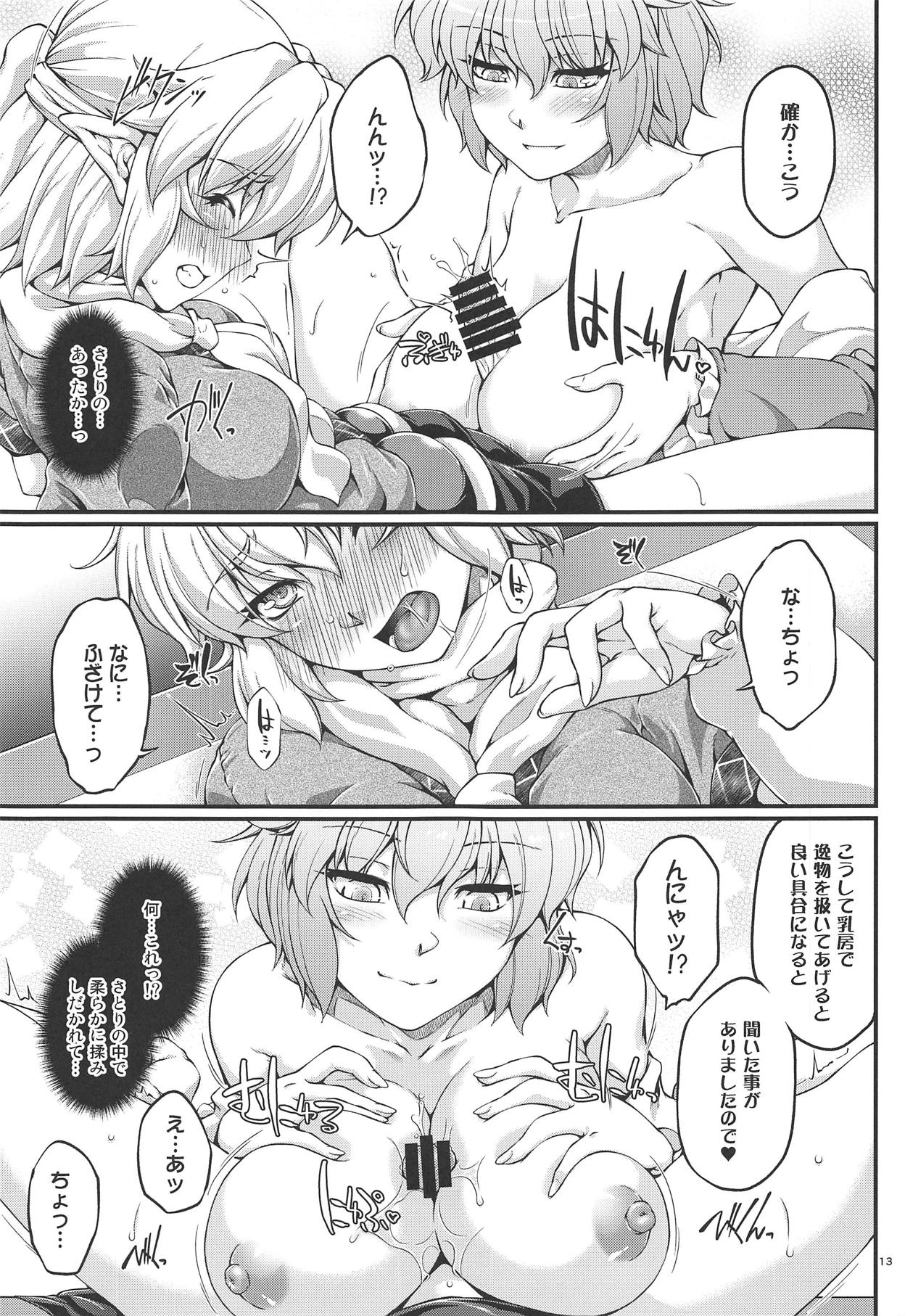 SatoPar Reversible page 12 full