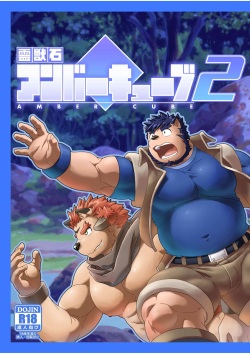 Reijuu Ishi Amber Cube 2