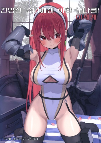 (C96) [Illumination. (Ogadenmon)] Namaiki na Shota ni wa Ecchi na Onee-san o! Isekai | 건방진 쇼타에겐 야한 누나를! 이세계 [Korean] cover