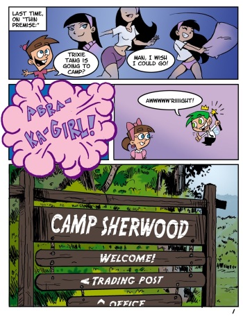 [Mister D.] Camp Sherwood (ongoing) cover
