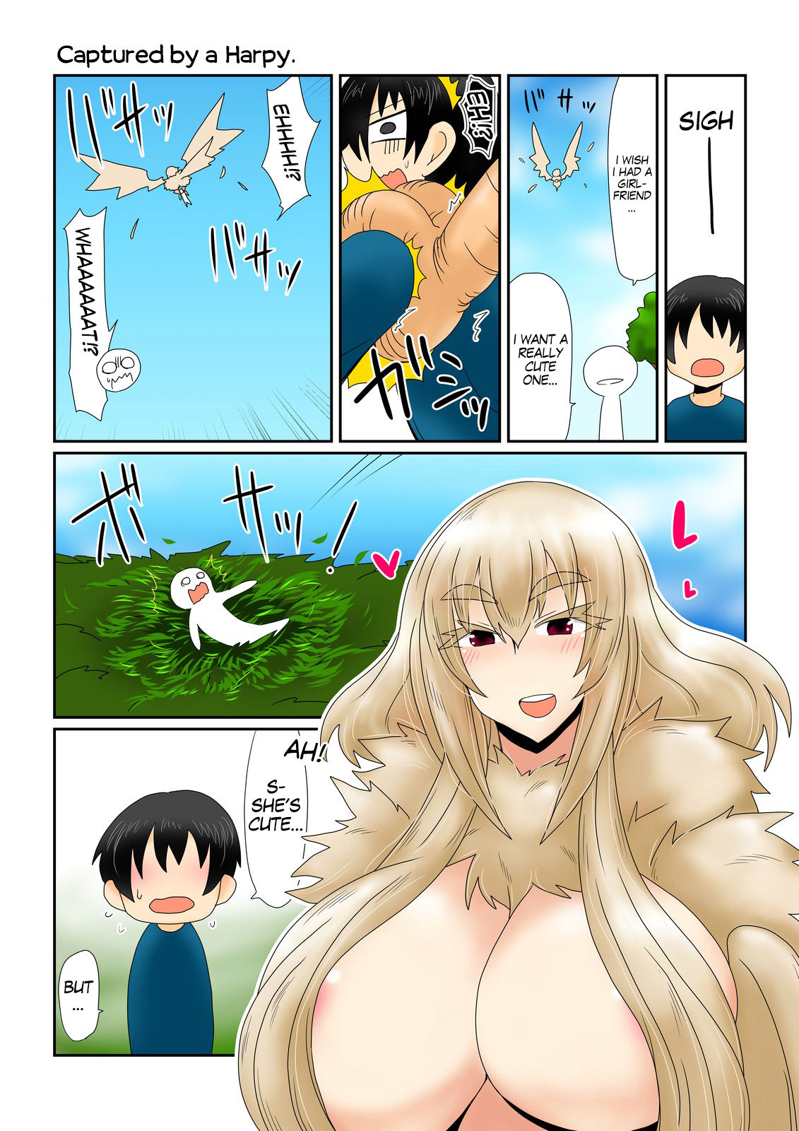 Harpy-san ni Tsukamatte. | Captured By A Harpy. page 1 full