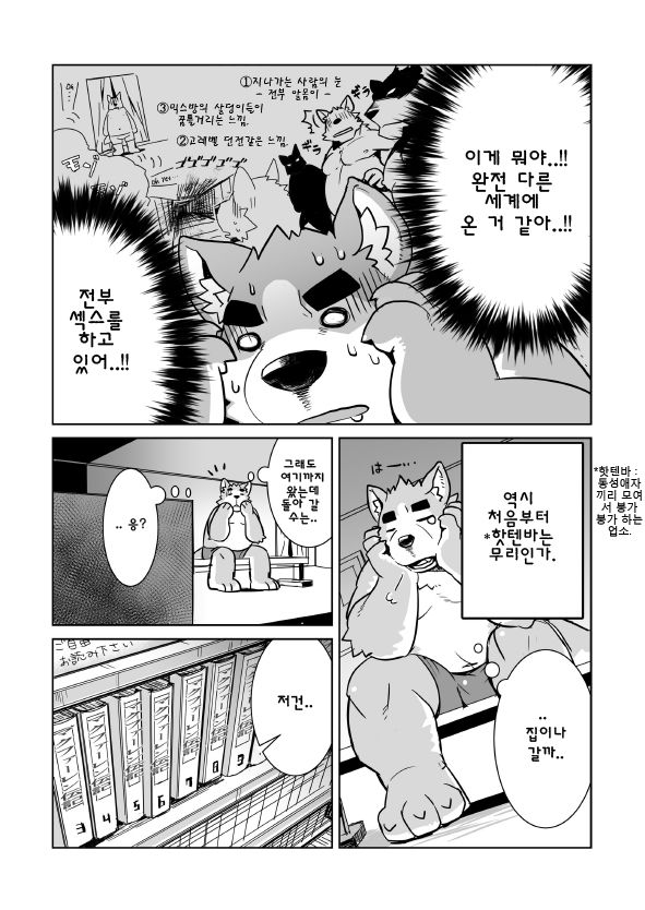 Shiroi-kun no Shakai Kengaku | 시라이 군의 사회견학 page 5 full