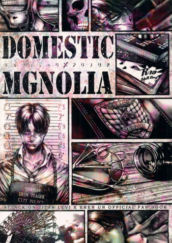 (C90) [End (Azuma Chiaki)] DOMESTIC MGNOLIA (Shingeki no Kyojin) cover