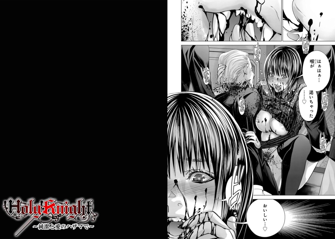 Holy Knight ~Junketsu to Ai no Hazama de~ Vol. 9 page 12 full