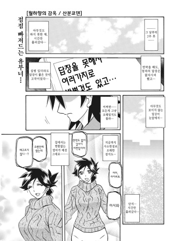 [Sanbun Kyoden] Gekkakou no Ori Ch. 22 (COMIC HOTMiLK Koime Vol. 15) [Korean] [Digital] cover