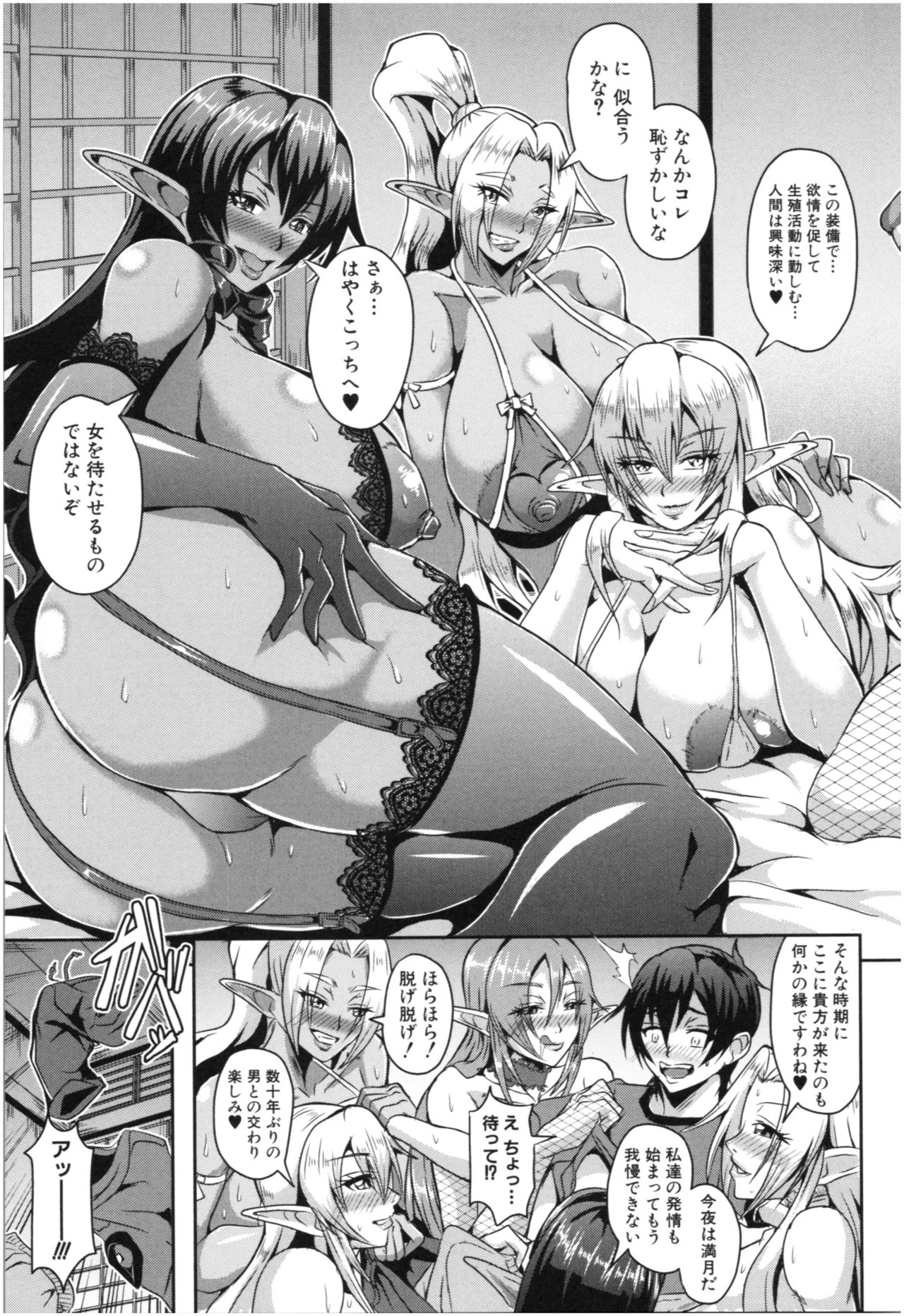 Elf Harem Monogatari - Elf Harem Story page 12 full