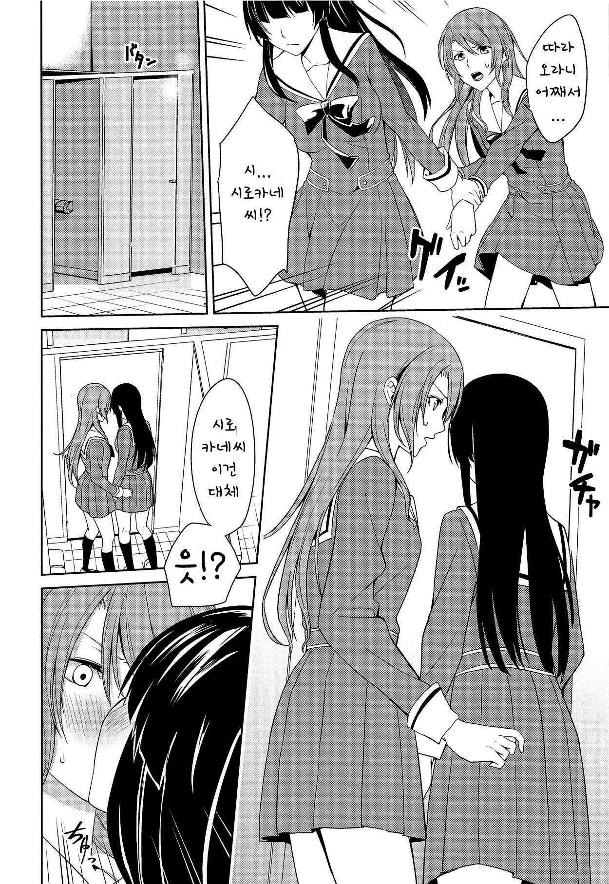 RinSayo Futanari Ecchi Bon | 린사요 후타나리 야한 책 page 7 full