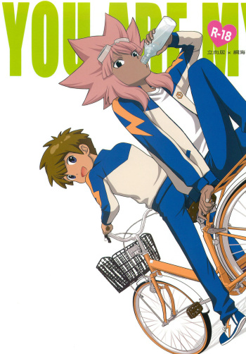 [Goendama (Goen)] YOU ARE MY SUNSHINE (Inazuma Eleven) cover