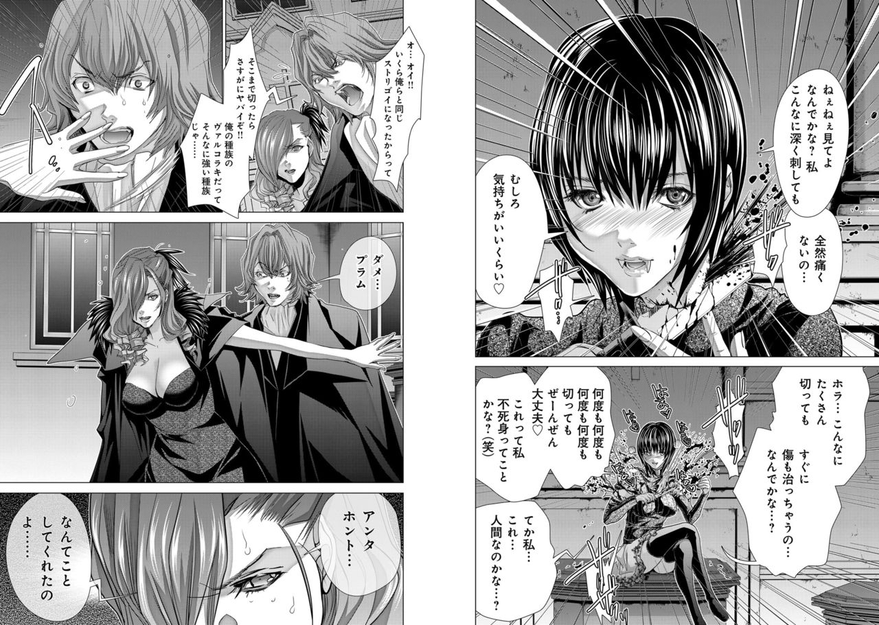 Holy Knight ~Junketsu to Ai no Hazama de~ Vol. 11 page 11 full