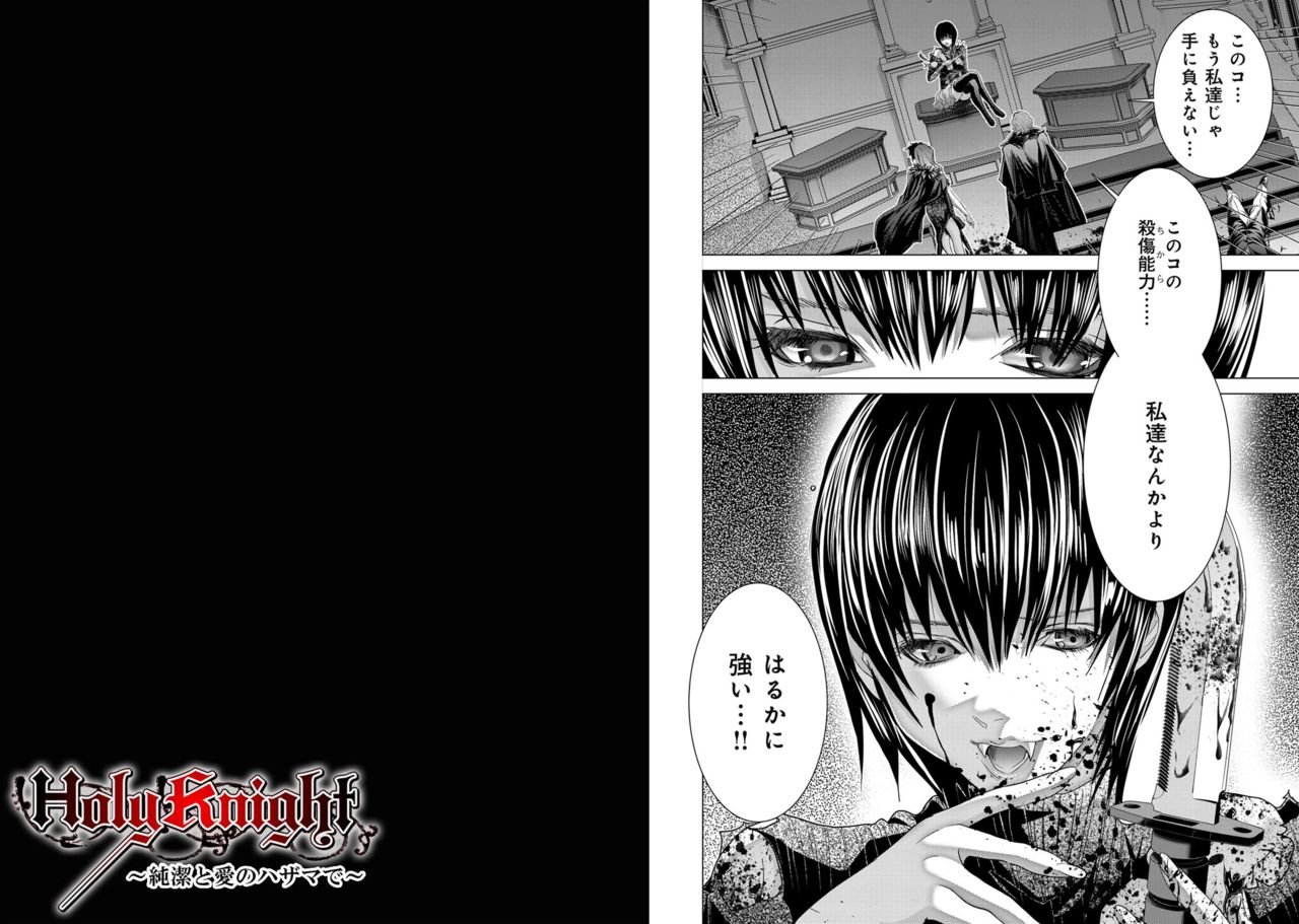 Holy Knight ~Junketsu to Ai no Hazama de~ Vol. 11 page 12 full