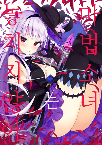 (C92) [High Tech Pen Case (Tam-U)] Mahou Shoujo wa Nigasanai | 마법소녀는 놓치지 않아 [Korean] cover
