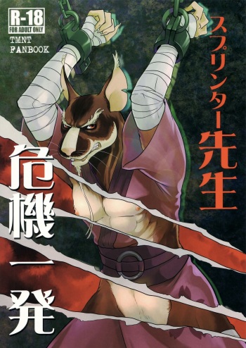 (Fur-st 8) [INK (Kreuz, Kandagawa Gufu)] Splinter Sensei Kikiippatsu | Splinter Sensei's Crisis (Teenage Mutant Ninja Turtles) [English] [SakuraJizz] cover