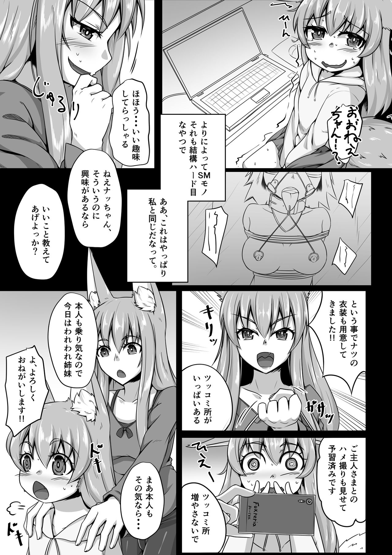 FOX MANIAX2 page 4 full