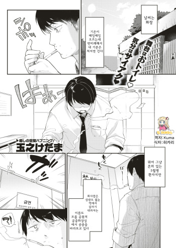 [tamano kedama] Drop out cat girl (COMIC X-EROS #66) [Korean] [Digital] cover