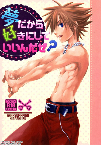 (C87) [Karasuma Pink Higashiiru (Karasuma Pink)] Yume Dakara Suki ni Shite ii nda ze? (Kingdom Hearts) [Spanish] [Avatar-kun] cover