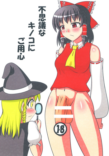 [Oreichigo (Yukino F Iwasuke)] Fushigi na Kinoko ni Goyoujin (Touhou Project) [Digital] cover
