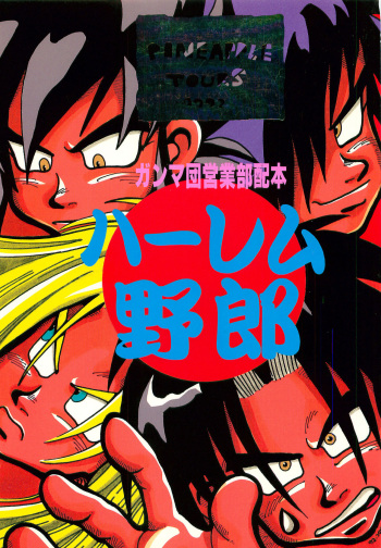 [PINEAPPLE TOURS (JOHNNY)] Harem Yarou (Nangoku Shounen Papuwa-kun) cover