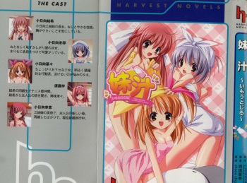 [Okada Runa] Imouto Jiru cover
