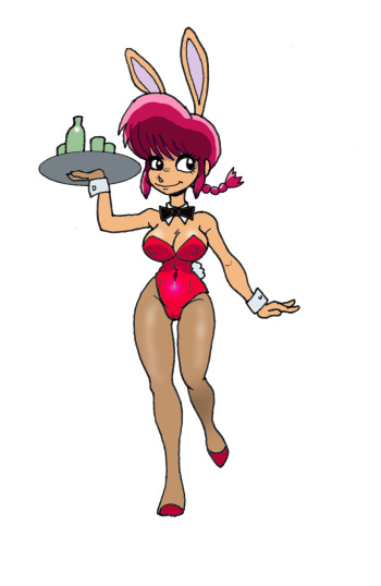 Some of my Ranma stuff cover