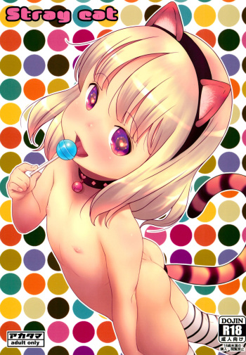 (C96) [Akatama (Sakurafubuki Nel)] Stray cat cover
