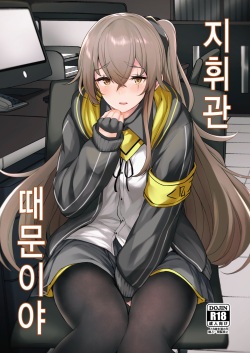 Shikikan no Sei dakara | 지휘관 때문이야