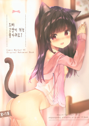 (C95) [PoyoPoyoSky (Saeki Sola)] Onii-chan Nekomimi wa Osuki desu ka? | 오빠 고양이 귀는 좋아해요? [Korean] cover