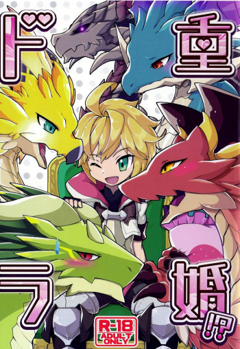 [Nanikaga. (Shiokake)] Dorajuukon!? (Dragalia Lost) [English] [Tigoris Translates] [2019-05-17] cover
