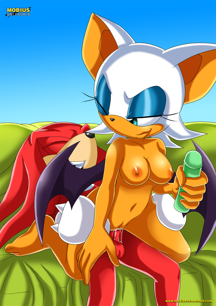 Mobius Unleashed: Knuxouge page 10 full