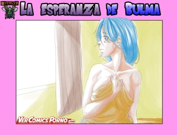 [Aarokira] La Esperanza De Bulma 1 (Spanish) [kalock & VCP] cover