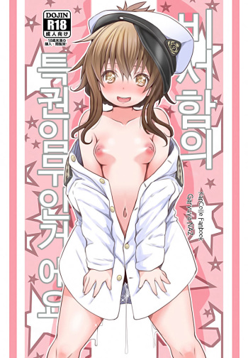 (C95) [GaRyuuYa (NAZ)] Hishokan no Tokken Ninmu nano desu  | 비서함의 특권 임무인 거에요  (Kantai Collection -KanColle-) [Korean] cover