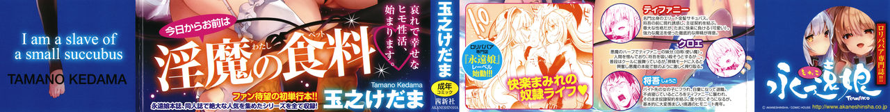 Boku wa Chiisana Succubus no Shimobe - I am a slave of a small succubus page 2 full