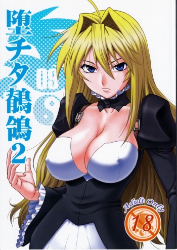 [Oretachi Misnon Ikka (Misnon the Great)] Ochita Sekirei 2 (Sekirei) cover
