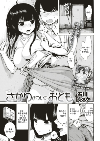[Ishikawa Shisuke] Sakari no Tsuita Otomo (COMIC Kairakuten 2019-08) [Korean] [Digital] cover