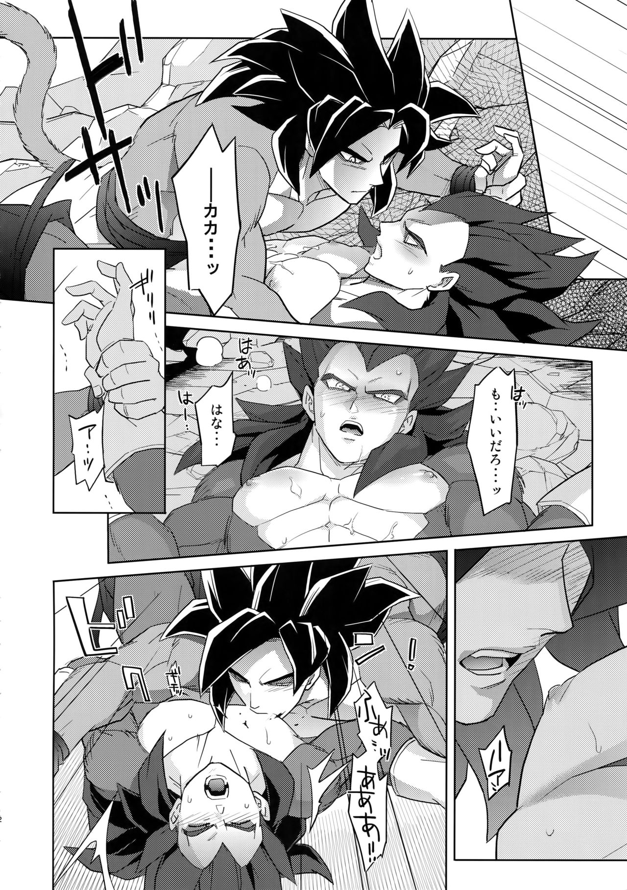 Saiai 2015 page 11 full