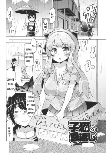 [EBA] Koneko no Ongaeshi (Datsu Imouto Sengen) [Korean] cover