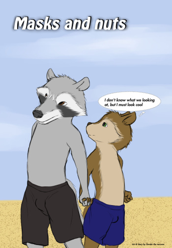 Masks and nuts cover