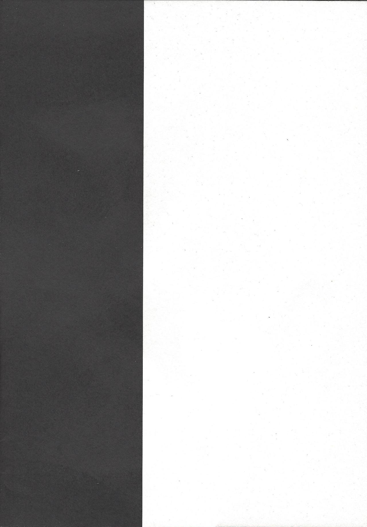 Input page 11 full