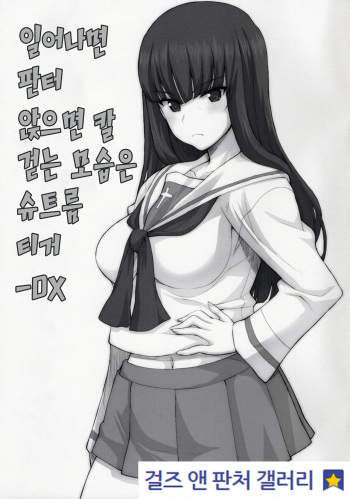 (C91) [Fountain's Square (Hagiya Masakage)] Tateba Panther Suwareba Karl Aruku Sugata wa Sturmtiger DX | 일어나면 판터 앉으면 칼 걷는 모습은 슈트름티거-DX (Girls und Panzer) [Korean] cover