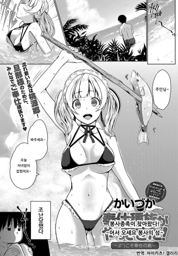 [Kaiduka] Houshi Shuzoku ga Yattekita! ~Youkoso Houshi no Shima~ | 봉사종족이 찾아왔다! ~어서 오세요 봉사의 섬~ (COMIC Anthurium 2019-08) [Korean] [아이카츠! 갤러리] [Digital] cover