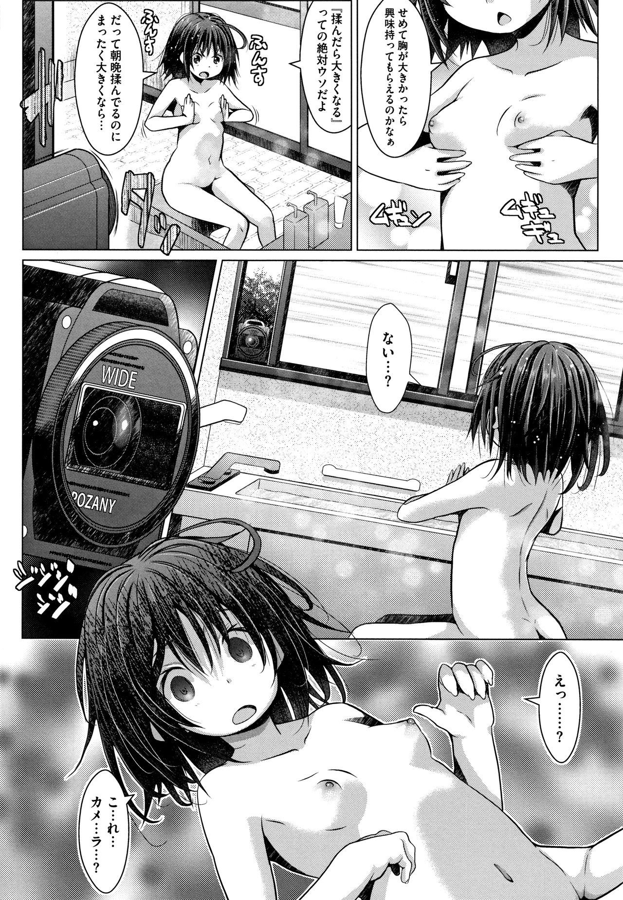 Sucre Berry Torte page 11 full
