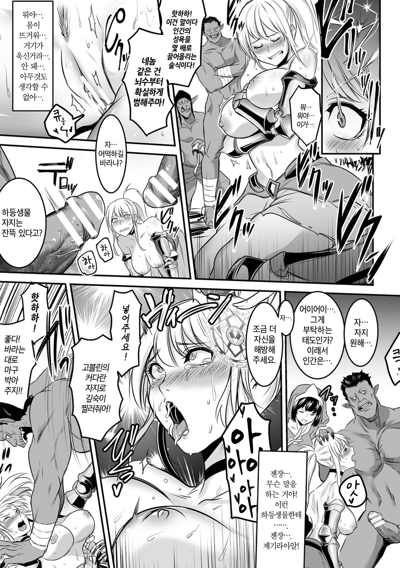 Nikudorei Onna Kishi | 육노예 여기사 page 11 full