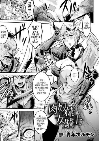 [Seinen Hormone] Nikudorei Onna Kishi | 육노예 여기사 (Haiboku Otome Ecstasy Vol. 20) [Korean] [Digital] cover