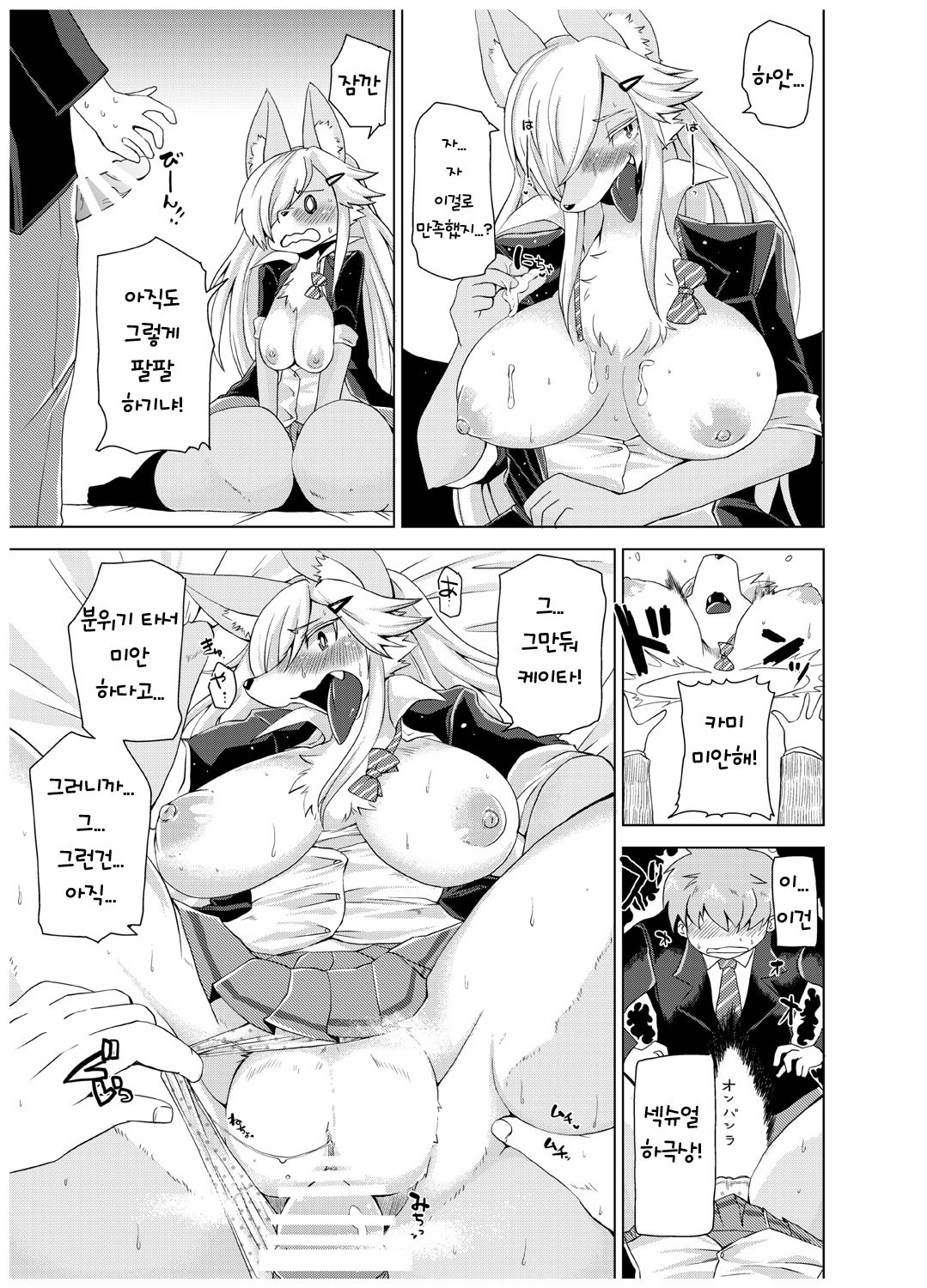 Summary page 11 full