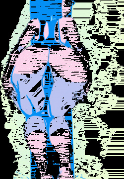 bard-bot / BardoPlus / bard / bardbot