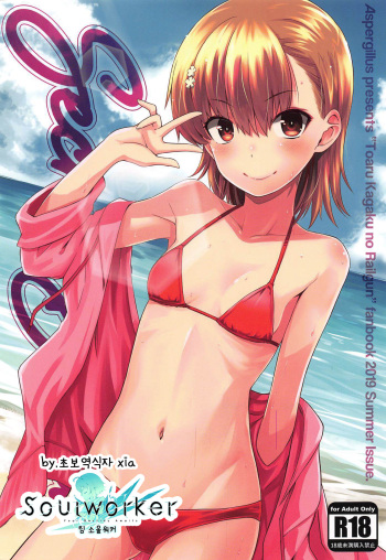 (C96) [Aspergillus (Okara)] Secret Beach (Toaru Kagaku no Railgun) [Korean] cover