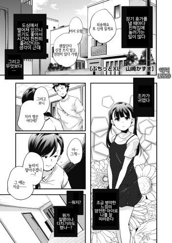 [Yamazaki Kazuma] Petit XL | 쁘띠 XL (COMIC HOTMILK 2019-12) [Korean] [LWND] [Digital] cover
