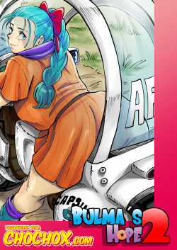 Bulma's Hope 2